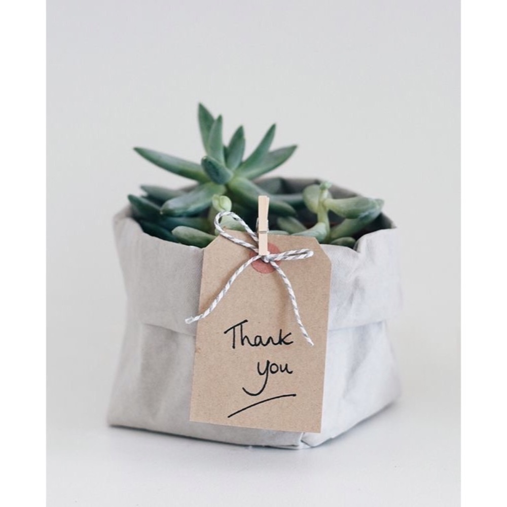 ||Welcome to my closet|| NO TRADES!!